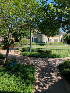 Circular outdoor path shaded by trees in front of building