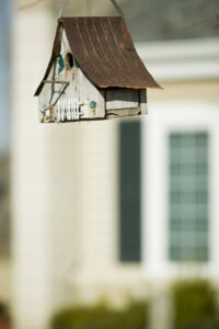Birdhouse with blurred building in background