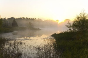 Pond with mist over the water and sunrise behind tree line