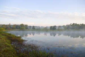 Large pond at sunrise with mist over water and trees in the distance