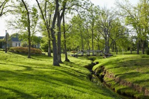 Grassy ravine with wooden walking bridge and trees on the Inverness campus